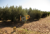 Non-developable land for sale in Huércal-Overa ref: TR22134 photo