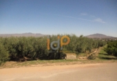 Non-developable land for sale in Huércal-Overa ref: TR22134 photo