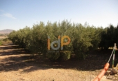 Non-developable land for sale in Huércal-Overa ref: TR22134 photo