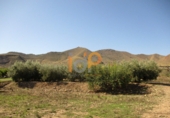 Non-developable land for sale in Huércal-Overa ref: TR22134 photo