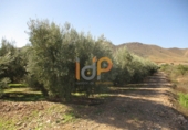 Non-developable land for sale in Huércal-Overa ref: TR22134 photo