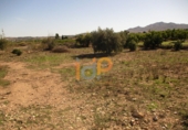 Non-developable land for sale in Huércal-Overa ref: TR22134 photo