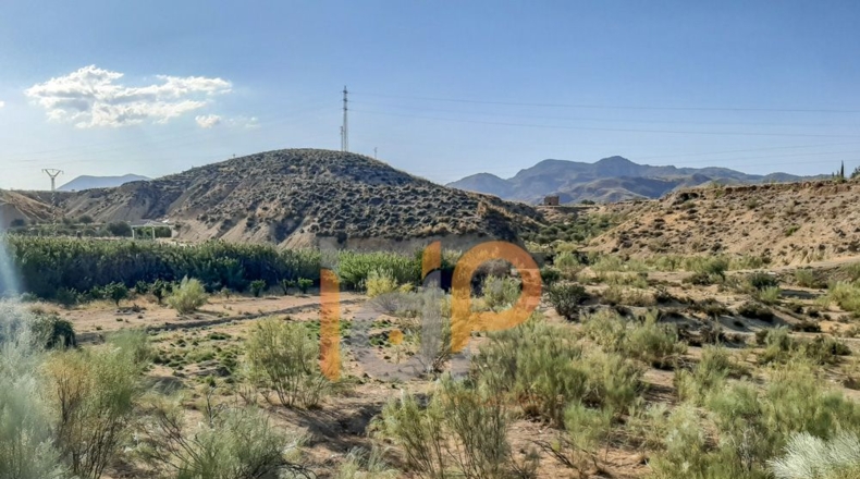 Almería - Fines - 10540m2