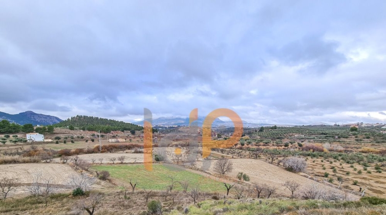 Almería - Vélez-Rubio - 104508m2