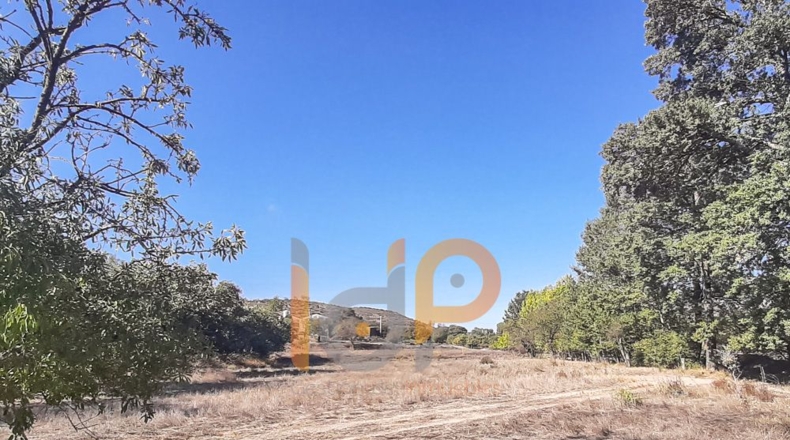 Almería - Chirivel - 10882m2