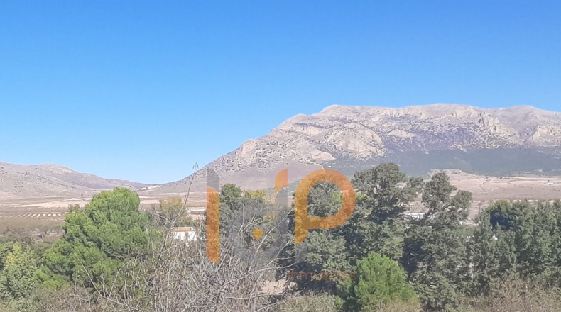 Almería - Chirivel - 10882m2