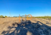Non-developable land for sale in Huércal-Overa ref: TR37249 photo