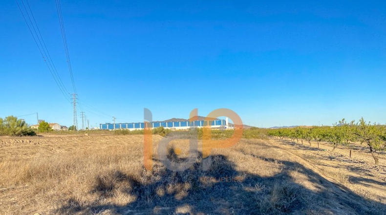 Almería - Huércal-Overa - 16900m2