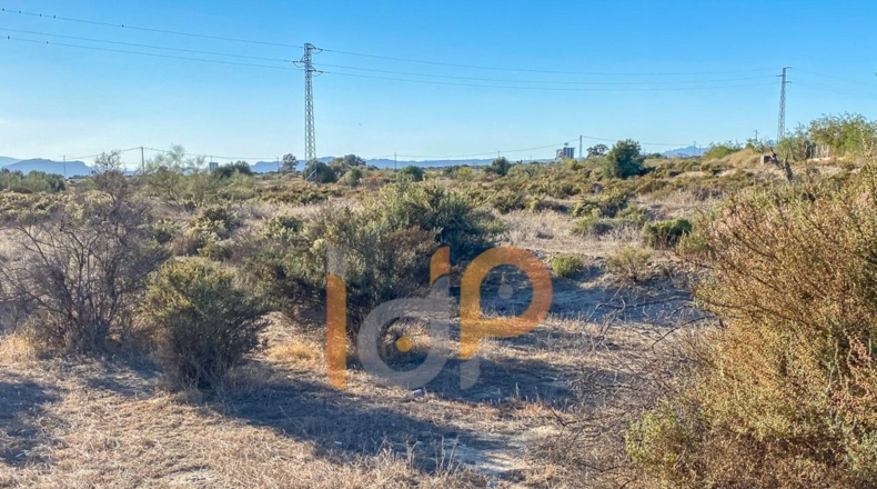 Almería - Huércal-Overa - 16900m2