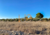 Terreny no urbanitzable en venda a Huércal de Almería ref.: TR381883 foto