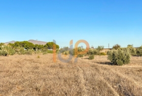 Huércal de Almería 4640&nbsp;m² 