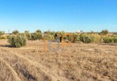 Terreny no urbanitzable en venda a Huércal de Almería ref.: TR381883 foto
