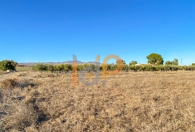 Huércal de Almería 4640&nbsp;m² 