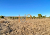Terreny no urbanitzable en venda a Huércal de Almería ref.: TR381883 foto