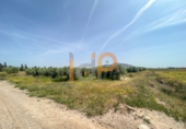 Terreny no urbanitzable en venda a Huércal-Overa ref.: TR53521 foto