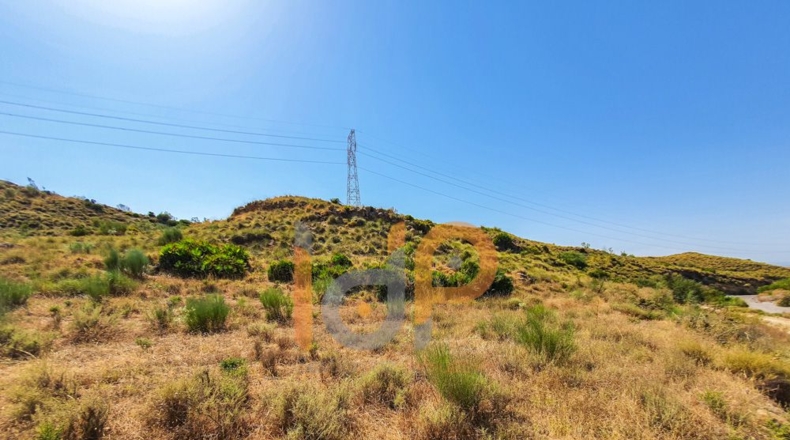 Almería - Turre - 64472m2