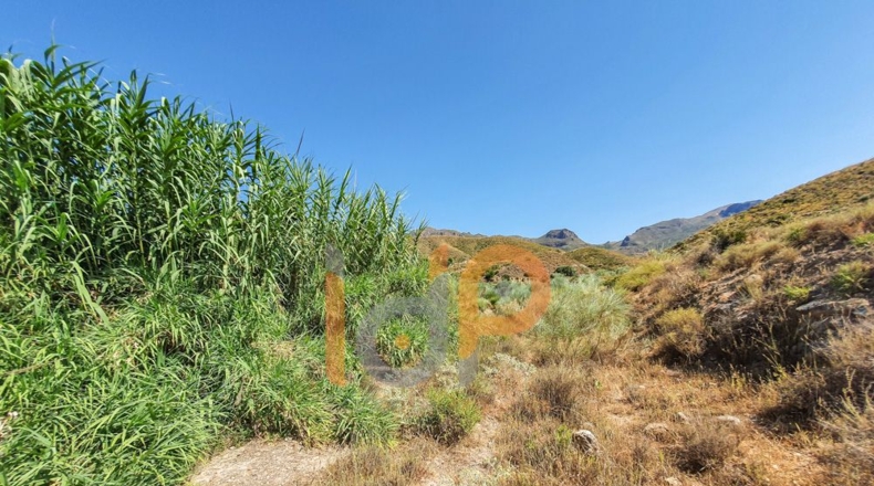 Almería - Turre - 64472m2