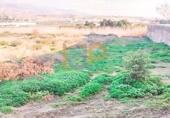 Parcel·la urbanitzable en venda a Huércal de Almería ref.: TR382059 foto