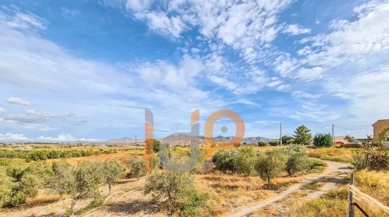 Almería - Huércal-Overa - 60000m2