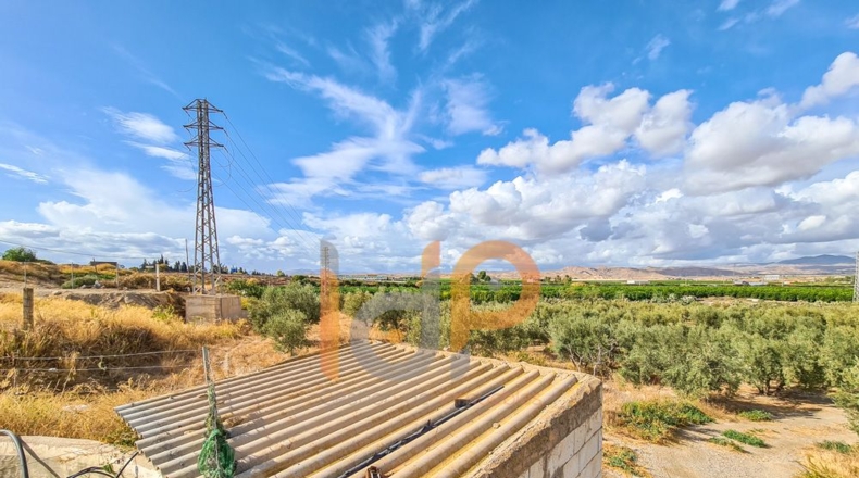 Almería - Huércal-Overa - 60000m2