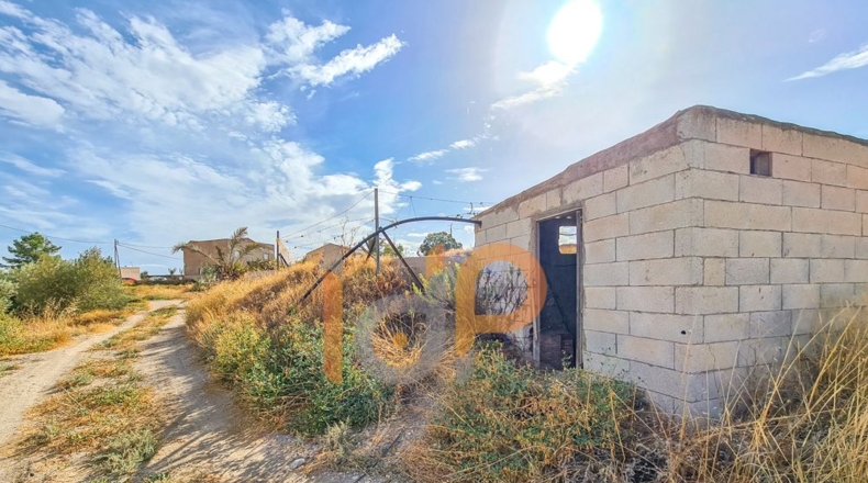 Almería - Huércal-Overa - 60000m2