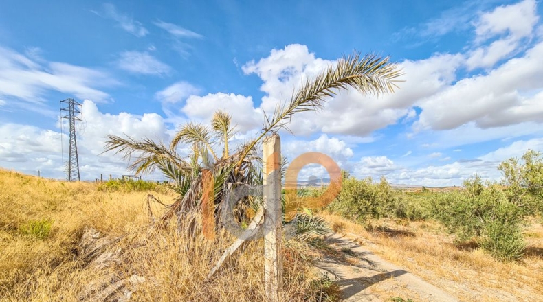 Almería - Huércal-Overa - 60000m2