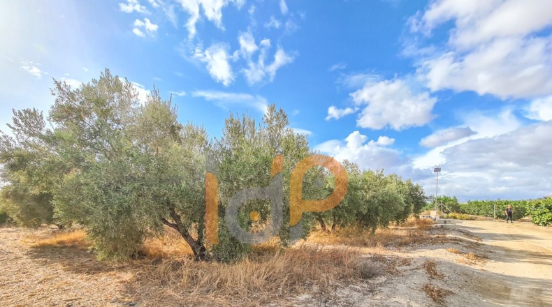 Almería - Huércal-Overa - 60000m2