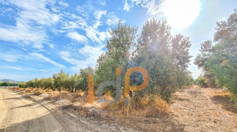 Almería - Huércal-Overa - 60000m2