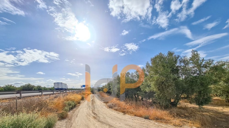 Almería - Huércal-Overa - 60000m2