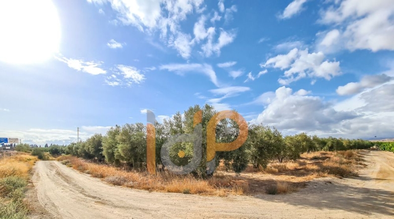 Almería - Huércal-Overa - 60000m2