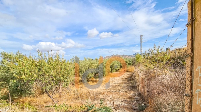 Almería - Huércal-Overa - 60000m2