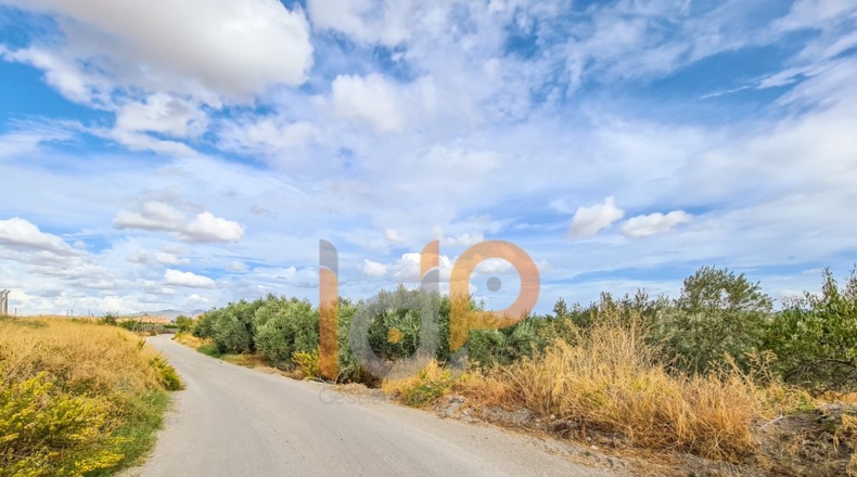Almería - Huércal-Overa - 60000m2