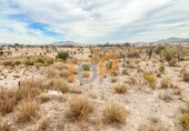 Non-developable land for sale in Huércal-Overa ref: TR382056 photo