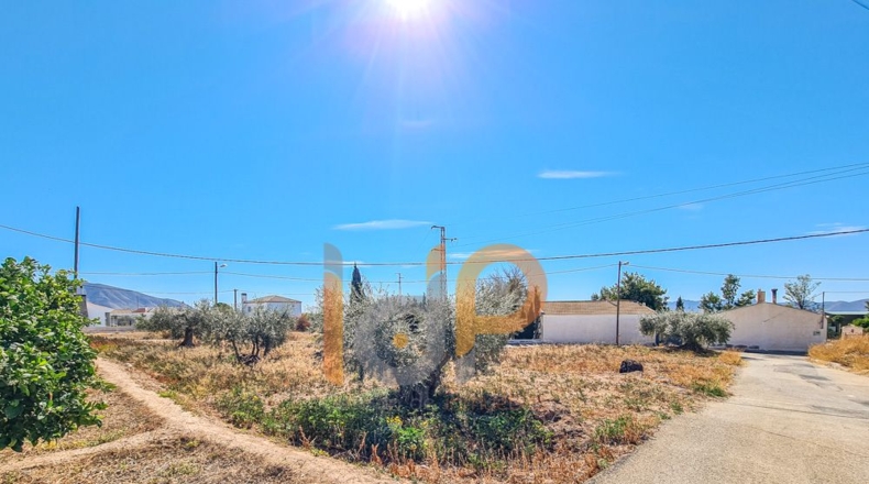 Almería - Huércal-Overa - 611m2