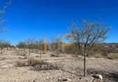 Industrial warehouse for sale in Huércal-Overa ref: TR381993 photo