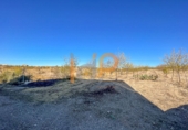 Industrial warehouse for sale in Huércal-Overa ref: TR381993 photo