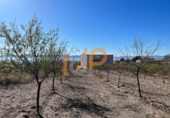 Industrial warehouse for sale in Huércal-Overa ref: TR381993 photo