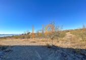 Industrial warehouse for sale in Huércal-Overa ref: TR381993 photo