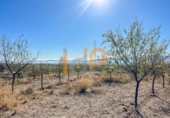 Industrial warehouse for sale in Huércal-Overa ref: TR381993 photo