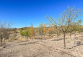 Industrial warehouse for sale in Huércal-Overa ref: TR381993 photo