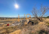 Industrial warehouse for sale in Huércal-Overa ref: TR381993 photo