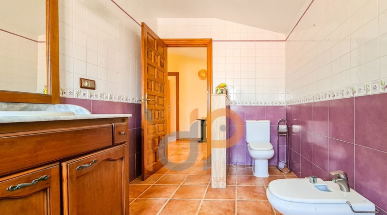 Almería - Huércal-Overa - 10000m2