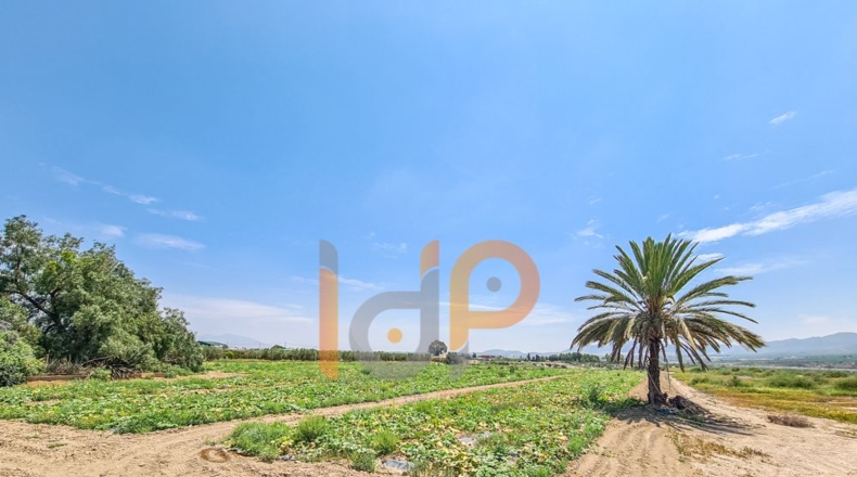 Almería - Huércal-Overa - 10000m2