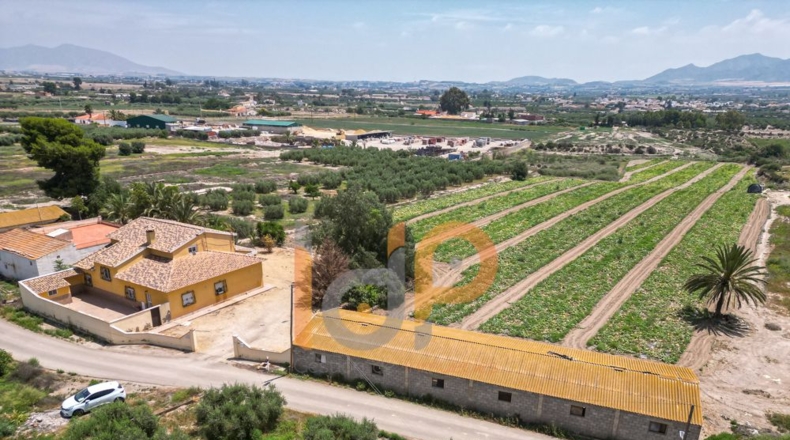 Almería - Huércal-Overa - 10000m2