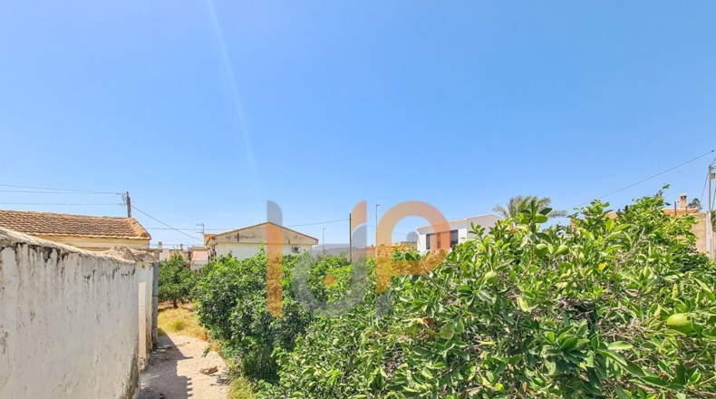 Almeria - Huércal-Overa - 350m2