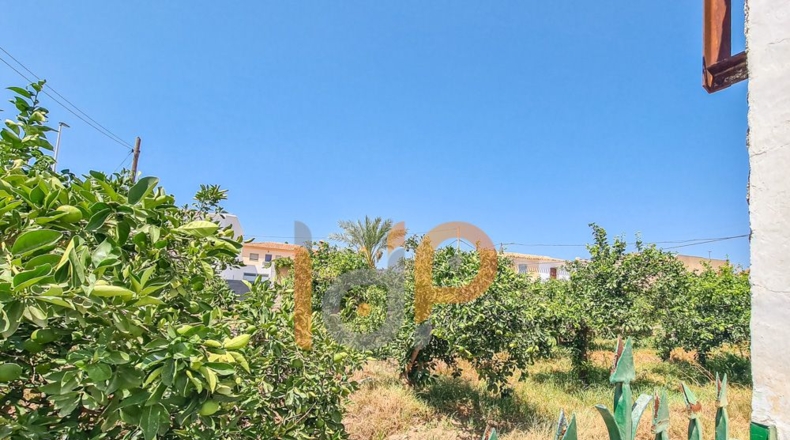 Almeria - Huércal-Overa - 350m2