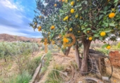 Chalet independiente con terreno en venta en Albox ref: TR382598 foto