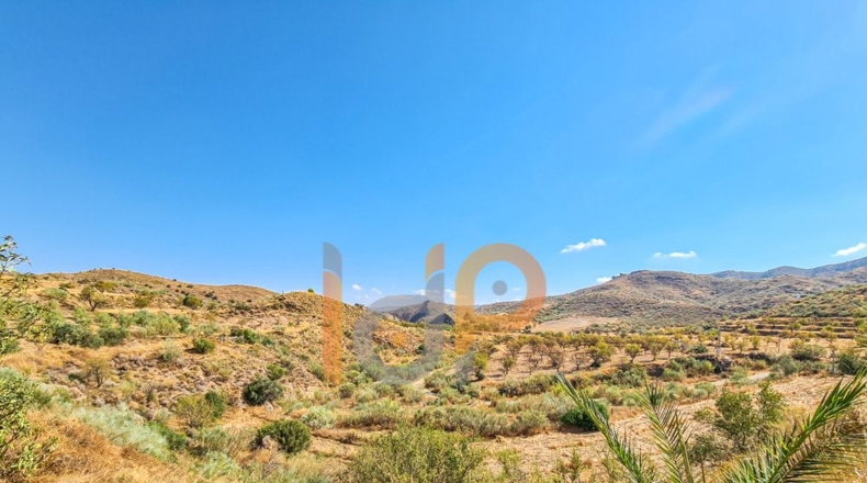 Альмерия - Лубрин - 62873m2