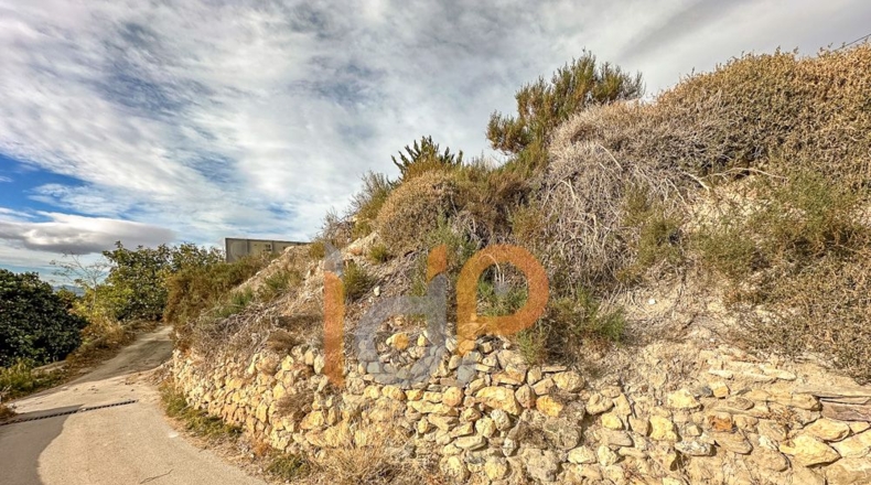 Almería - Huércal-Overa - 750m2