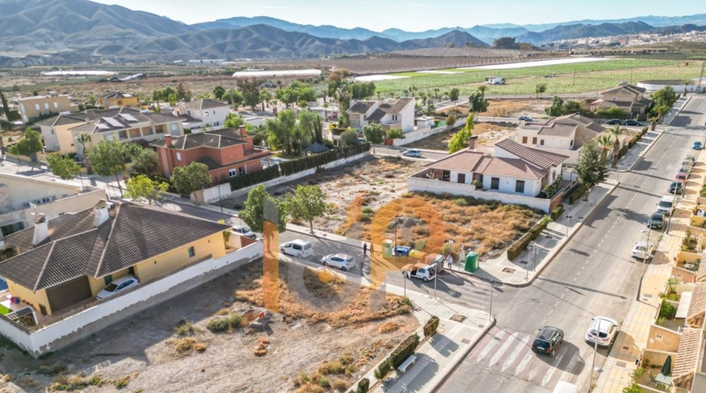 Almería - Huércal-Overa - 561m2